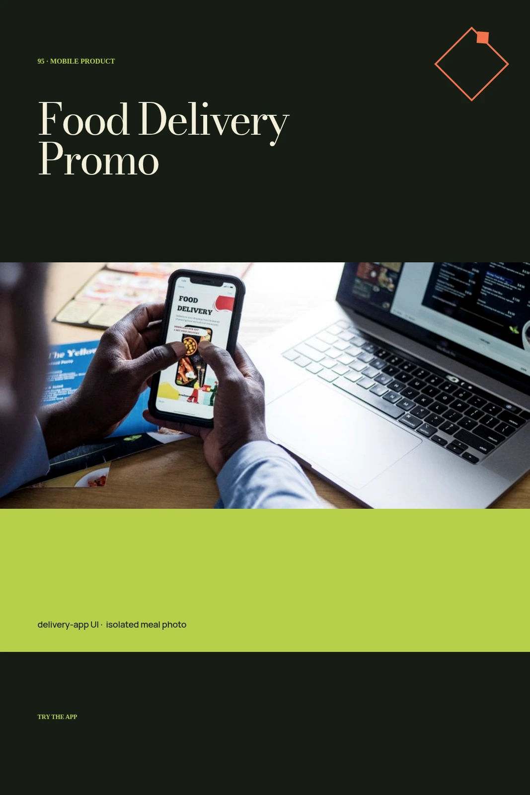 Food Delivery Promo